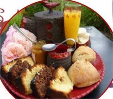 Le Nid Perche Bed & Breakfast Saint-Sauveur-en-Puisaye Exterior photo